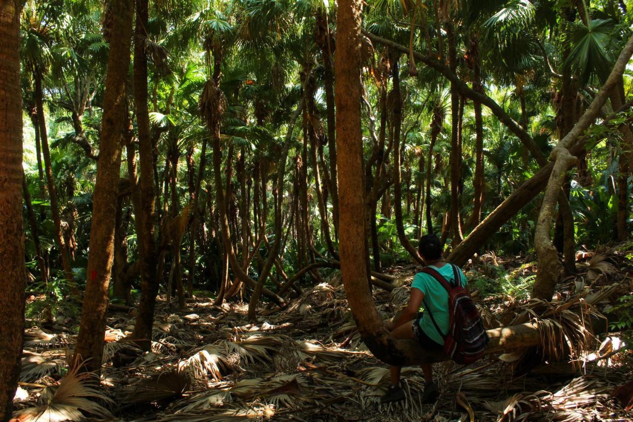 The Green Shack Quatre Soeurs المظهر الخارجي الصورة