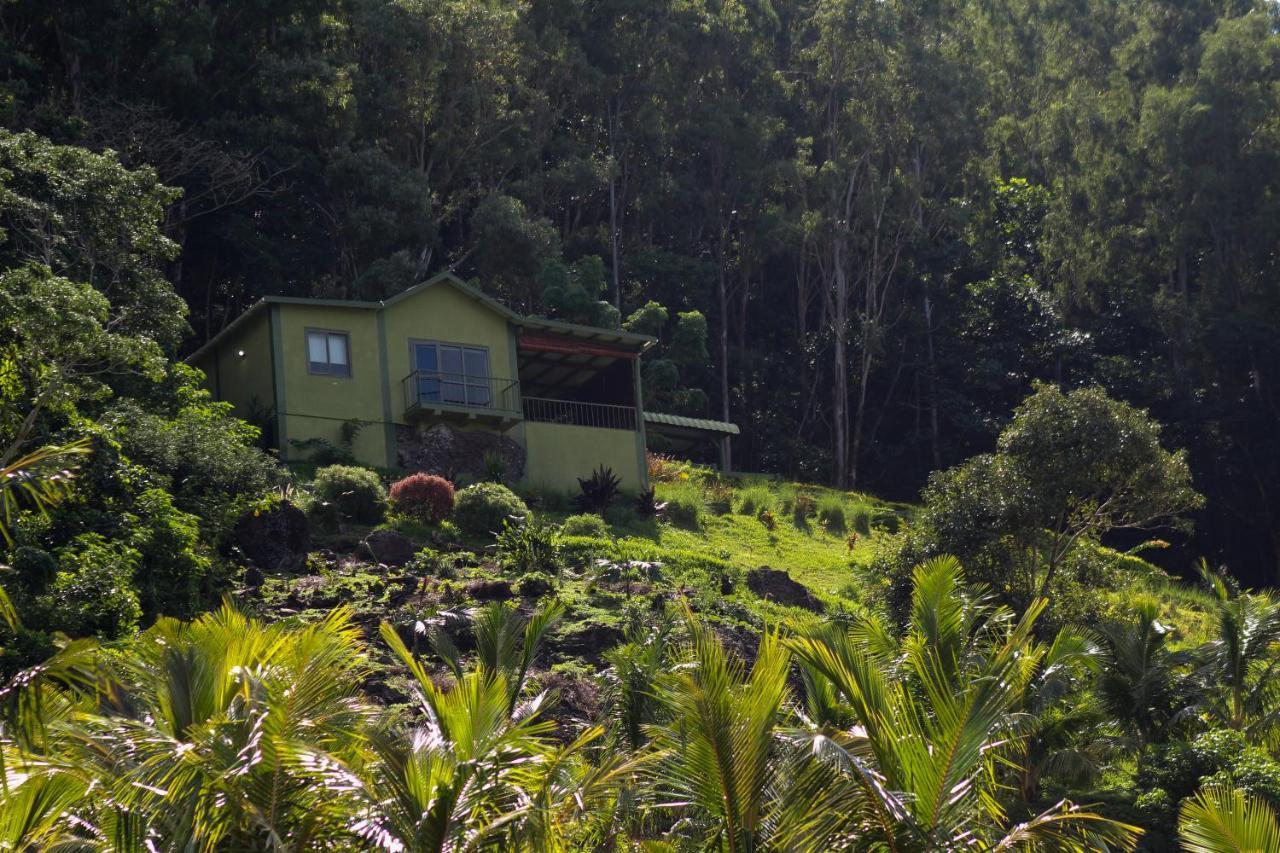 The Green Shack Quatre Soeurs المظهر الخارجي الصورة