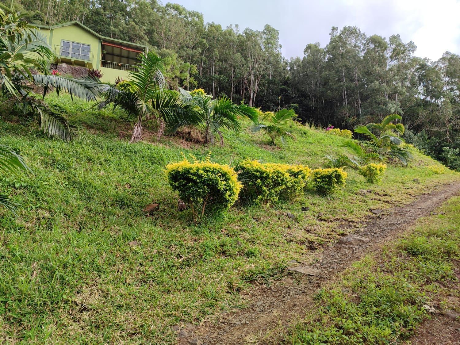 The Green Shack Quatre Soeurs المظهر الخارجي الصورة